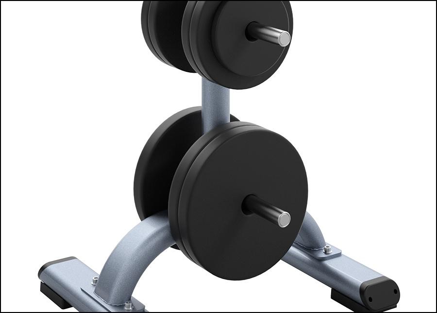 Precor Discovery Series Weight Plate Tree