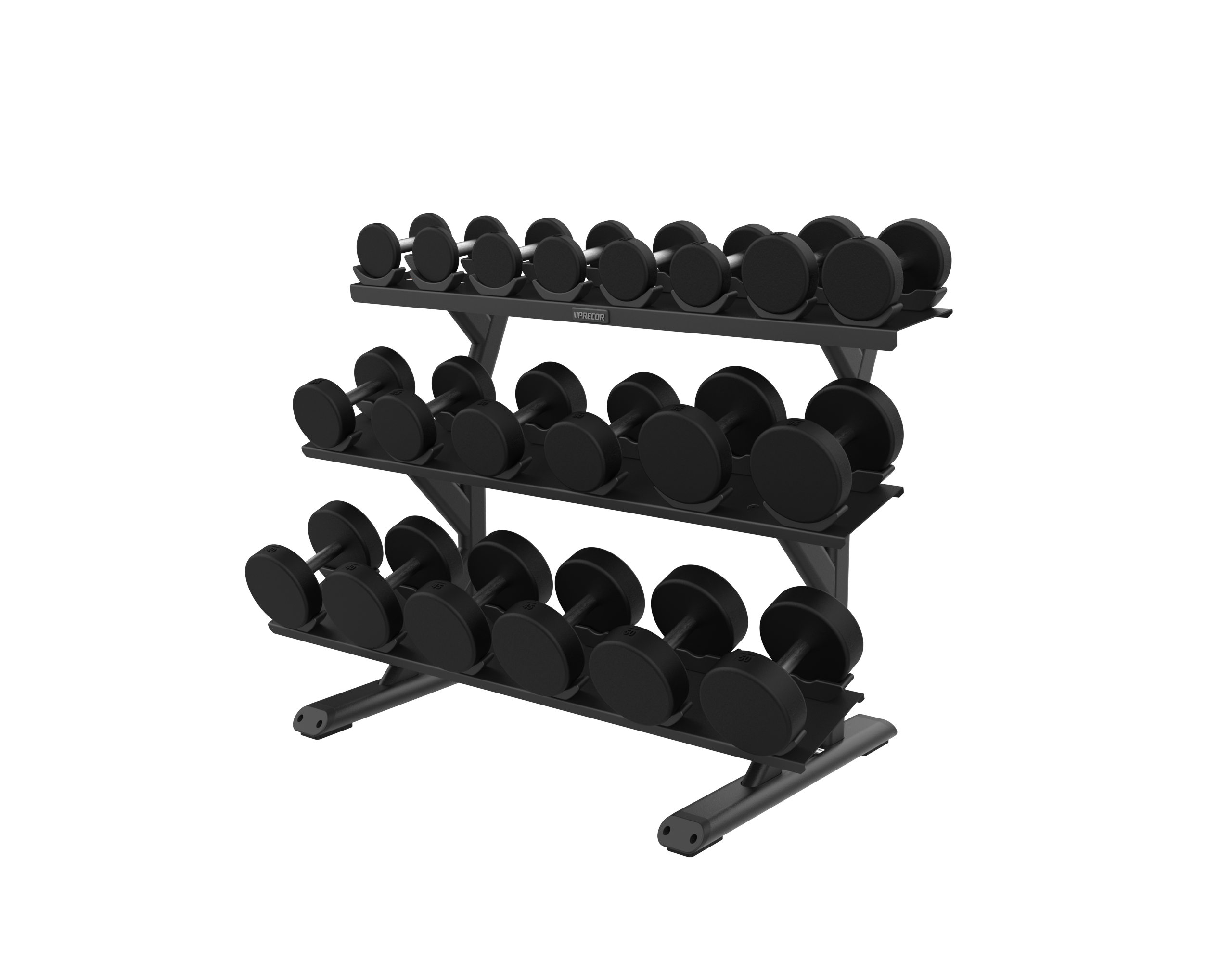 Precor Discovery Series 3 Tier, 10 Pair Dumbbell Rack (DBR0814), Black