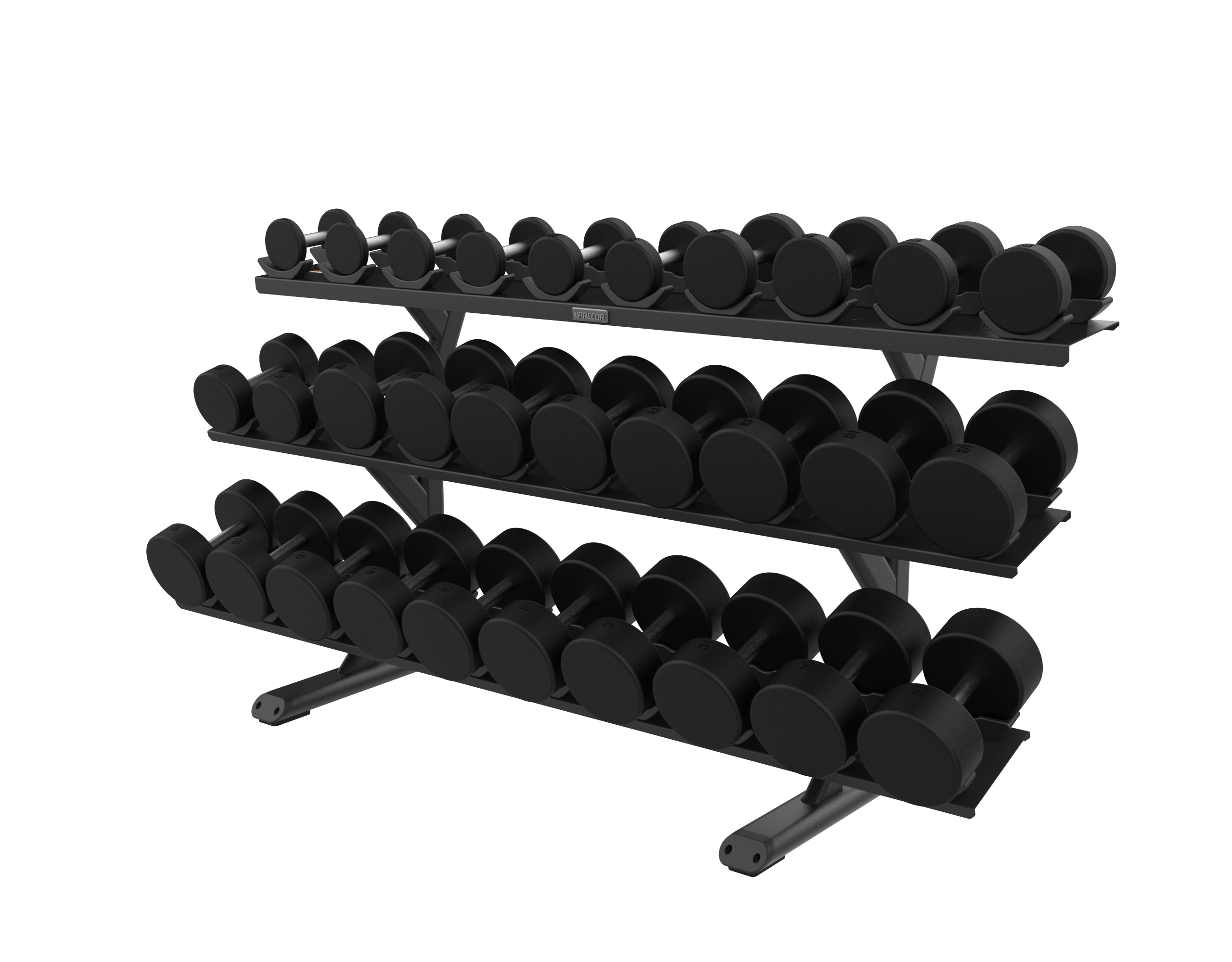 Precor Vitality 3-Tier Saddle Racks