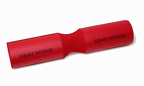 Squat Sponge