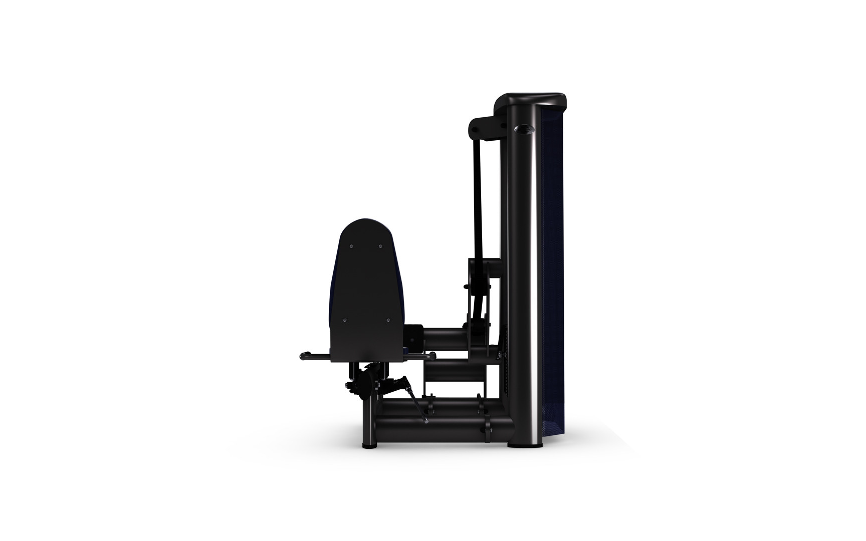 Gym80 Seated Calf Press