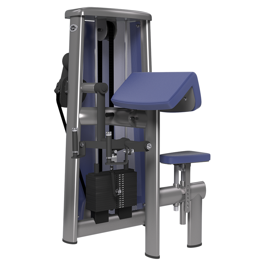 Gym80 Biceps Machine