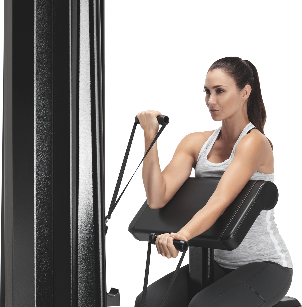 FreeMotion Genesis Biceps