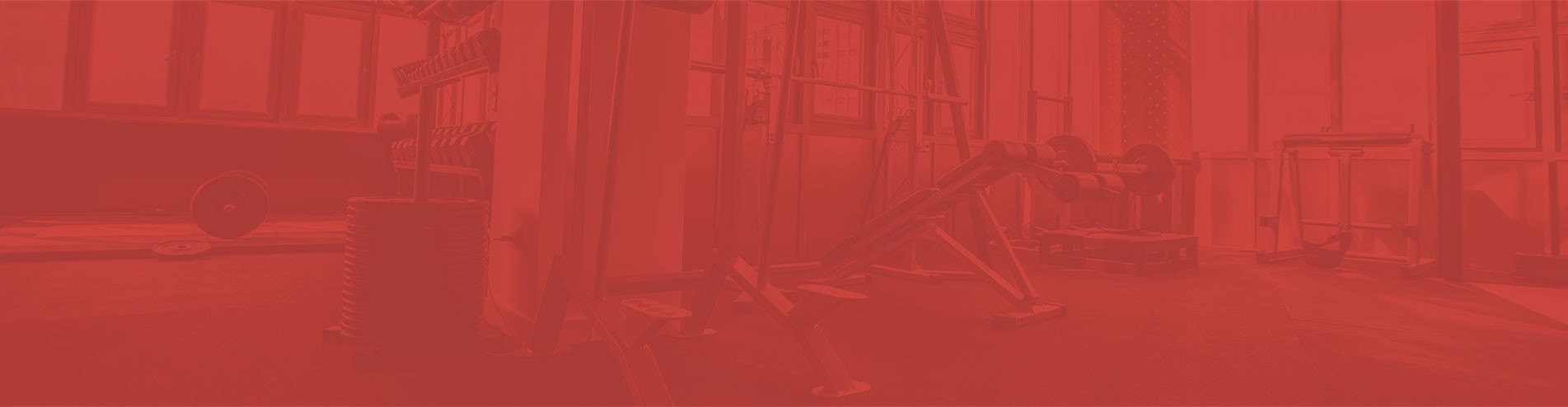 Contact Beyond the Basics Fitness