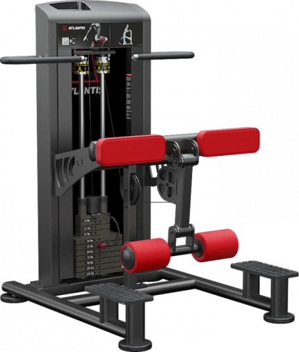 Atlantis Precision Standing Leg Curl