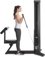 FreeMotion Genesis Biceps