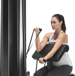 FreeMotion Genesis Biceps