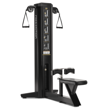 FreeMotion Genesis Row