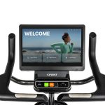 Spirit 1000 Upright Bike